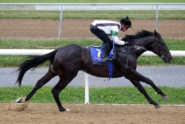 Khufu continues on Guineas campaign