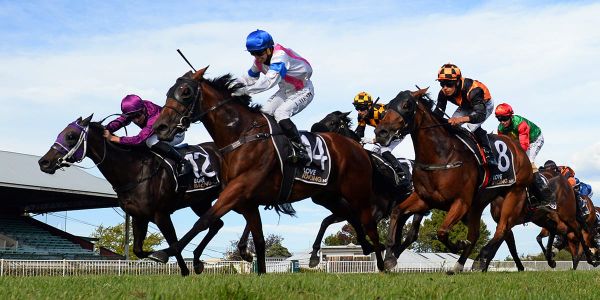 Hastings return for Llanacord