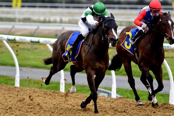 Vadamos filly strong on debut
