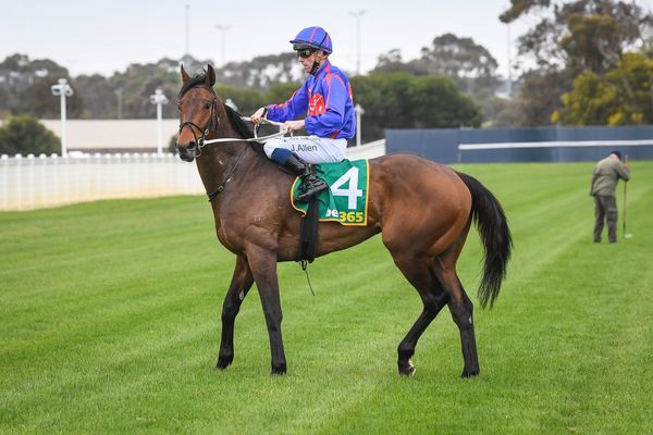 Mahrez makes winning debut