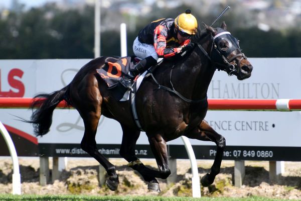 Ormsby produces classic contender at Te Rapa