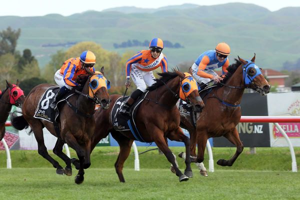 Perfect conditions at Hawke’s Bay