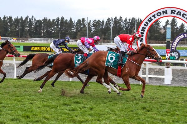 Soft win for Miss Tycoon Rose