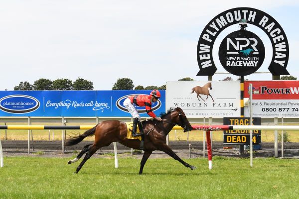 Magneto on track for Guineas berth