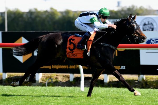 Pike quartet on song for Matamata