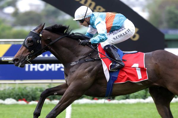 Riodini on track for Epsom