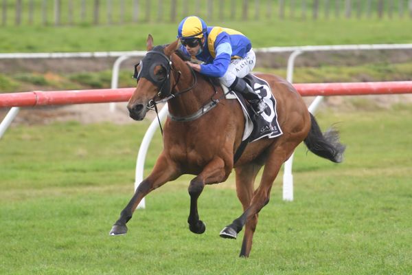 Samarkand showcases staying talent