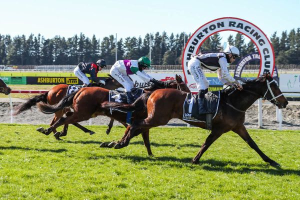 Sea Shepherd thriving ahead of Gore test