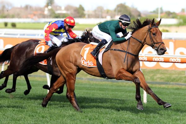 Toorak for Second Slip