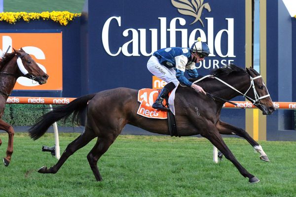 Spring campaign back on track for Sierra Sue
