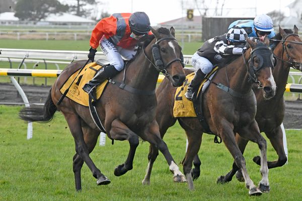 Tavis Court back to winning form at New Plymouth