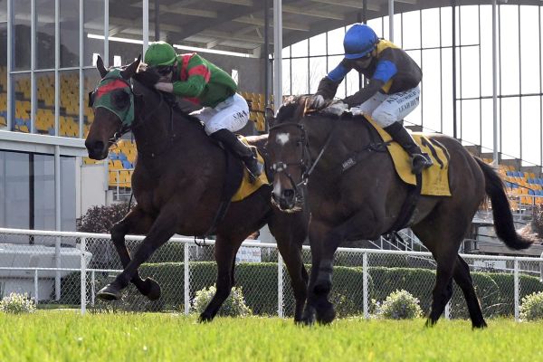 Immediate path for The Cossack unclear