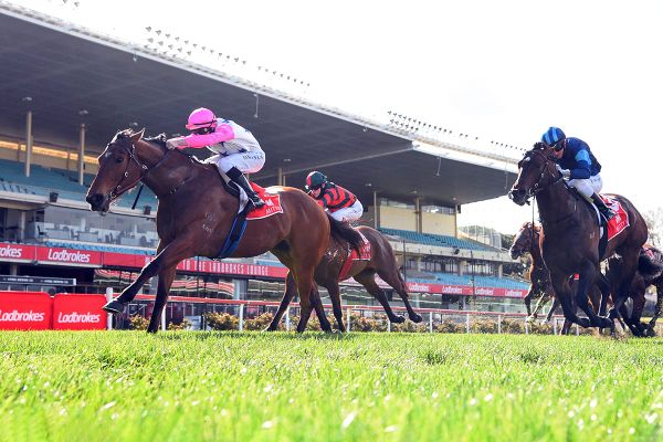 Everest trial for The Inferno at The Valley