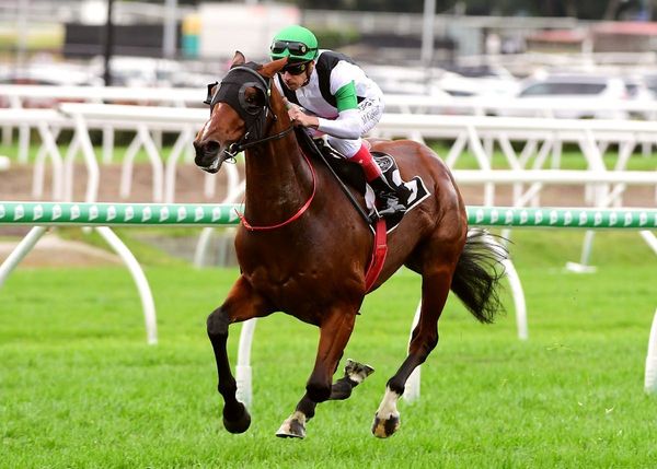 Classic ambitions for Tutukaka