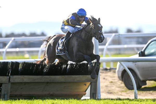 The Cossack out to defend northern crown