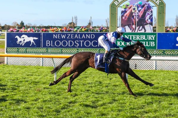 Carston painting a 1000 Guineas picture for filly