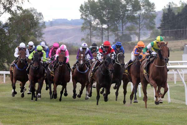 Stakes increase for Taupo Cup