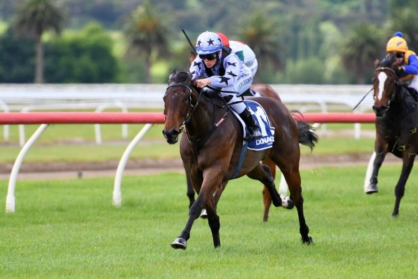 Luce the Bella of the Ball