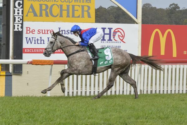 Benaud steps up to Group One crease