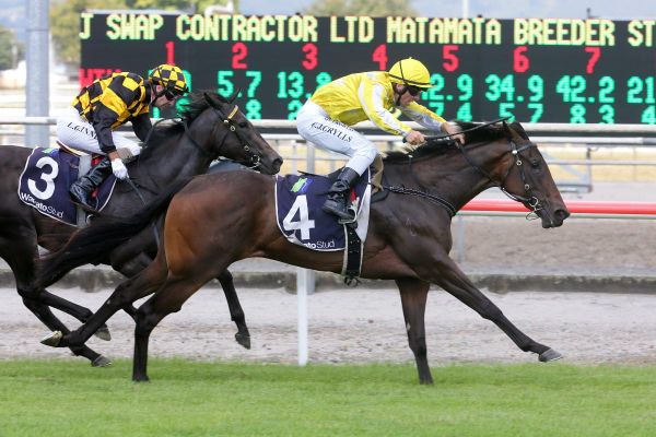 Campaign halted for Bonny Lass