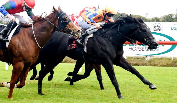 First-up win for Brando