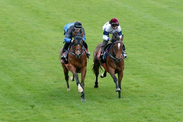 Under the radar Mav gives Bary shot at Cox Plate redemption