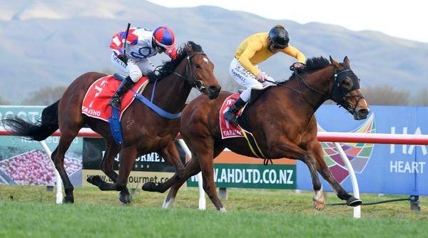 Mav gets Cox Plate green light