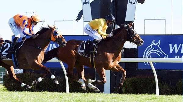 Cox Plate calling Mav after Windsor Park victory