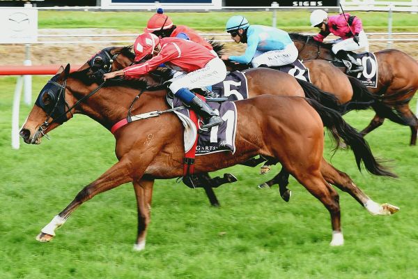 C'est Une Star showcases Bradley talent