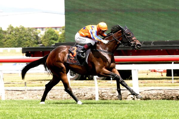 Festivity heads to Hawera