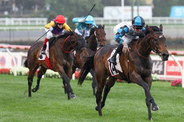 Mascot flies to Group victory at The Valley