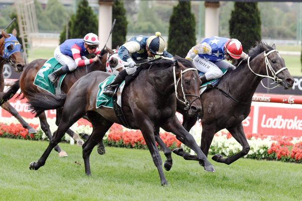 Busuttin-Young Derby contenders thriving