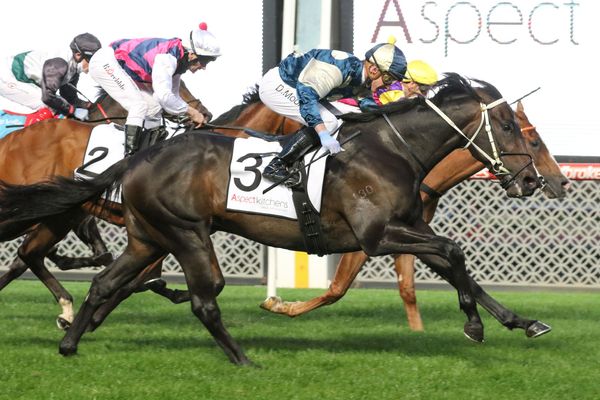 The wetter the better for Forgot You in Guineas