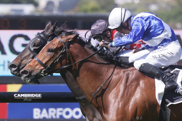 Well-deserved break for Gino Severini