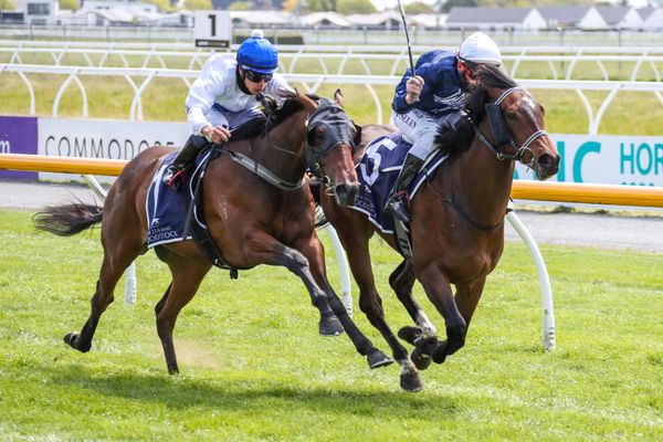 Stakes assignment next for impressive debutant