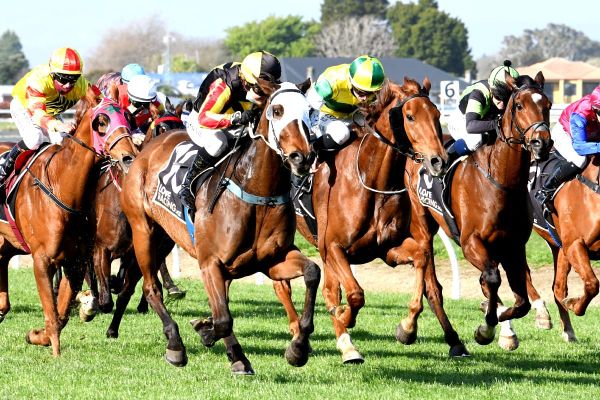 House Of Cartier to Feilding