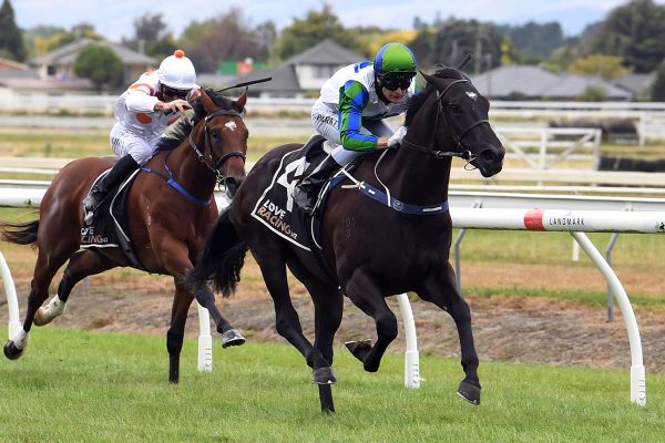 Richards wishing for further Guineas success