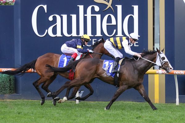 I’m Thunderstruck set for busy spring