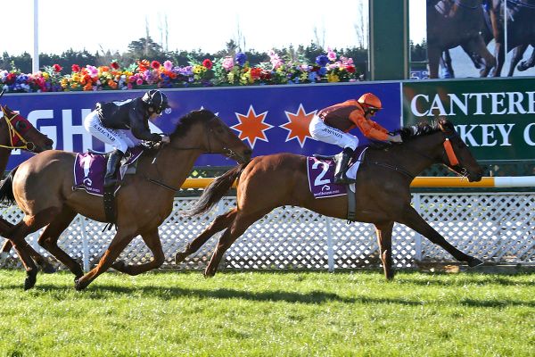 Decision time pending for Irish Excuse connections