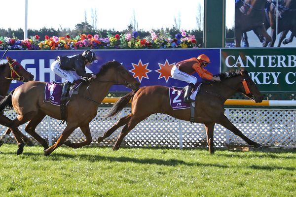 Decision time pending for Irish Excuse connections