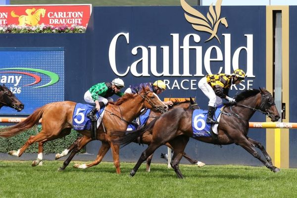 Kahma Lass joins Freedman barn