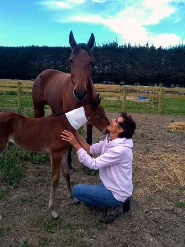 Thoroughbred breeding industry rally to support Kaye Sanders