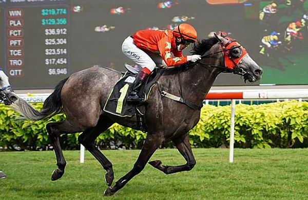 King's Command closer to Gold