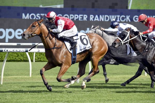 O’Shea looking to plunder Rosehill Gold
