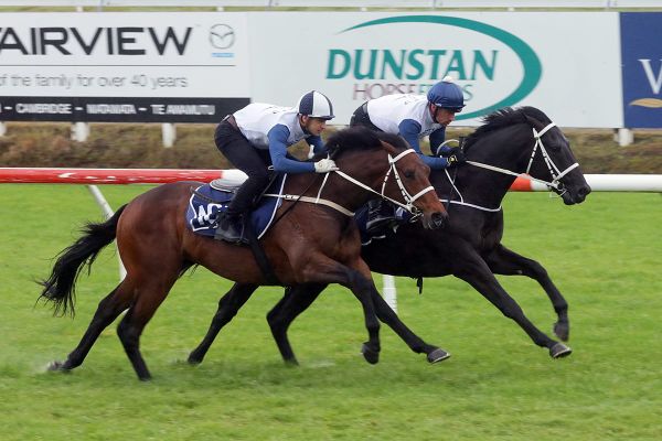 Ready to Run Sale a winning formula for Australian buyers