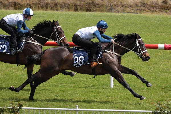 Day One of NZB Ready To Run Sale breeze-ups concludes