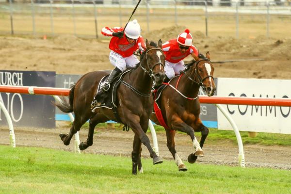 Guineas goal for Mackenzie Lad