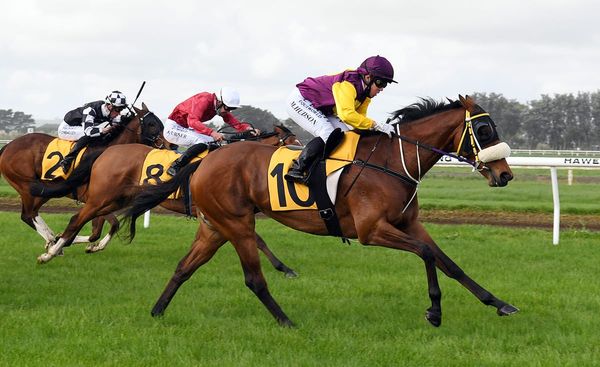 Magic result for Pratt and Hudson at Hawera