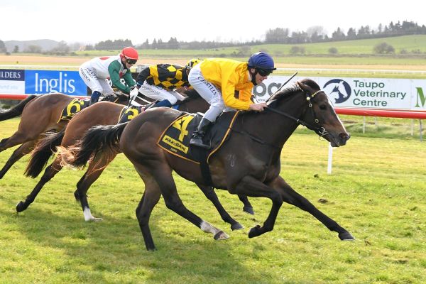 Soliloquy next step for Aris Aris