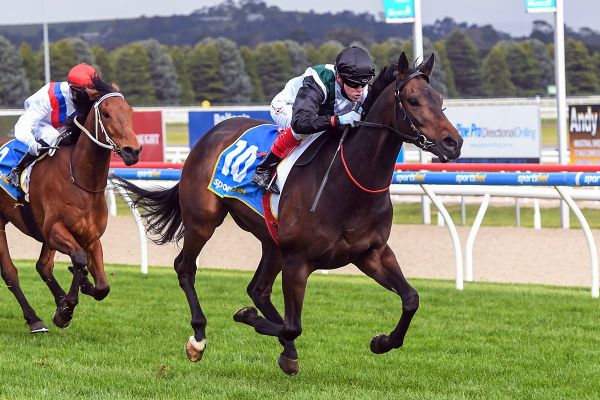 Brightside books spot in Group One